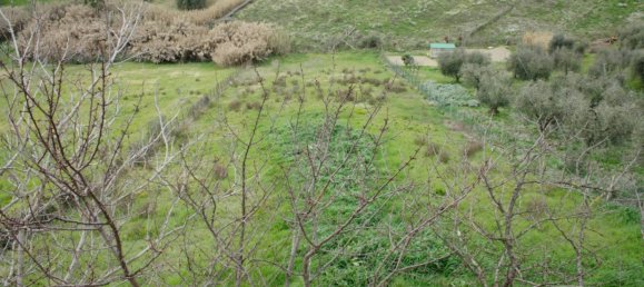 7 bedrooms Villa in Monterotondo, Italy No. 205066 12