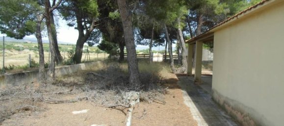 Grundstück in Castalla, Spain 16000m², Nr. 101857 10