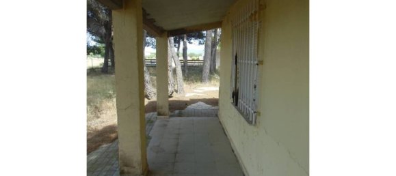 Grundstück in Castalla, Spain 16000m², Nr. 101857 12