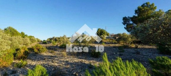 Grundstück in Castalla, Spain 16000m², Nr. 101857 19