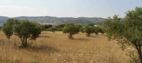 Grundstück in Castalla, Spain 16000m², Nr. 101857 8