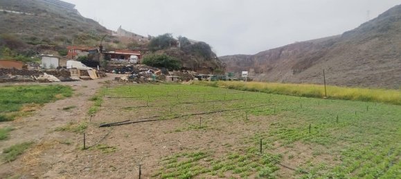 Terrain à Las Palmas De Gran Canaria, Spain No. 133571 20