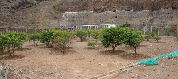 Terrain à Las Palmas De Gran Canaria, Spain No. 133571 3