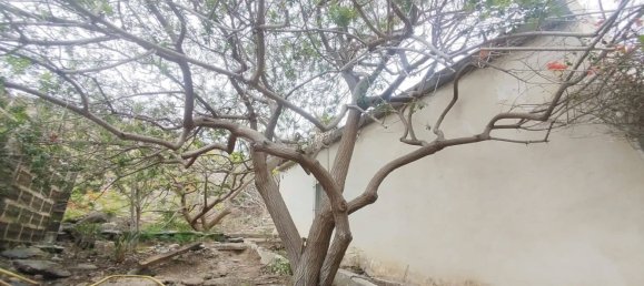 Terrain à Las Palmas De Gran Canaria, Spain No. 133571 15