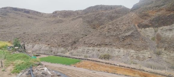 Terrain à Las Palmas De Gran Canaria, Spain No. 133571 7