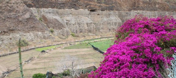 Terrain à Las Palmas De Gran Canaria, Spain No. 133571 34