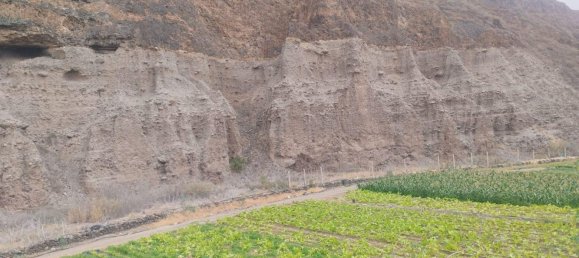 Terrain à Las Palmas De Gran Canaria, Spain No. 133571 12