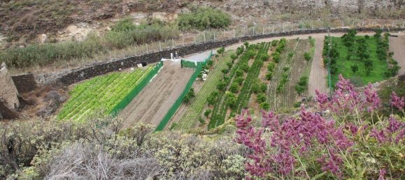 Terrain à Las Palmas De Gran Canaria, Spain No. 133571 29