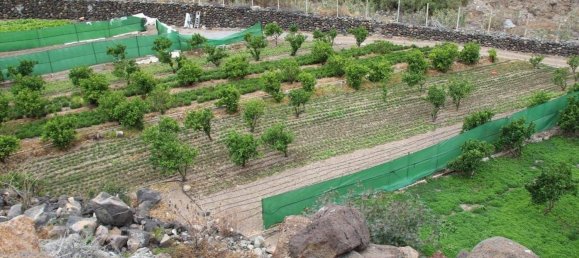 Terrain à Las Palmas De Gran Canaria, Spain No. 133571 27