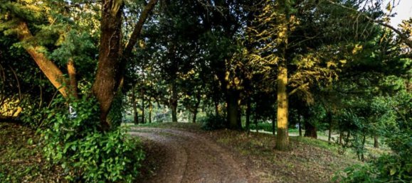 Casa de 9 dormitorios en Pomarance, Italy No. 55648 40