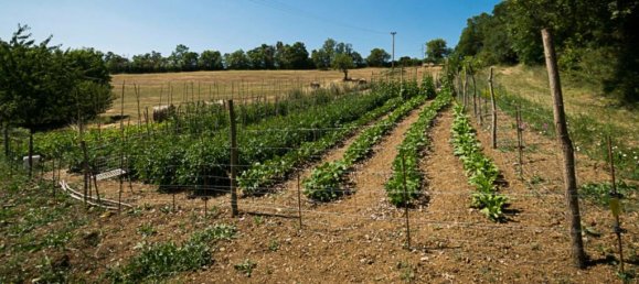 Casa de 9 dormitorios en Pomarance, Italy No. 55648 41