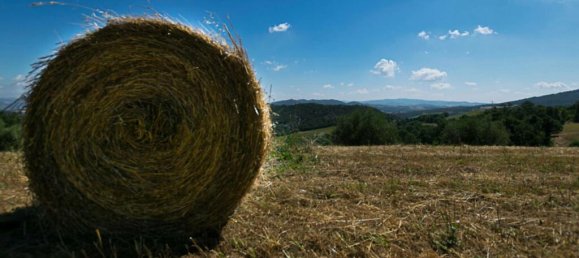 Casa de 9 dormitorios en Pomarance, Italy No. 55648 42