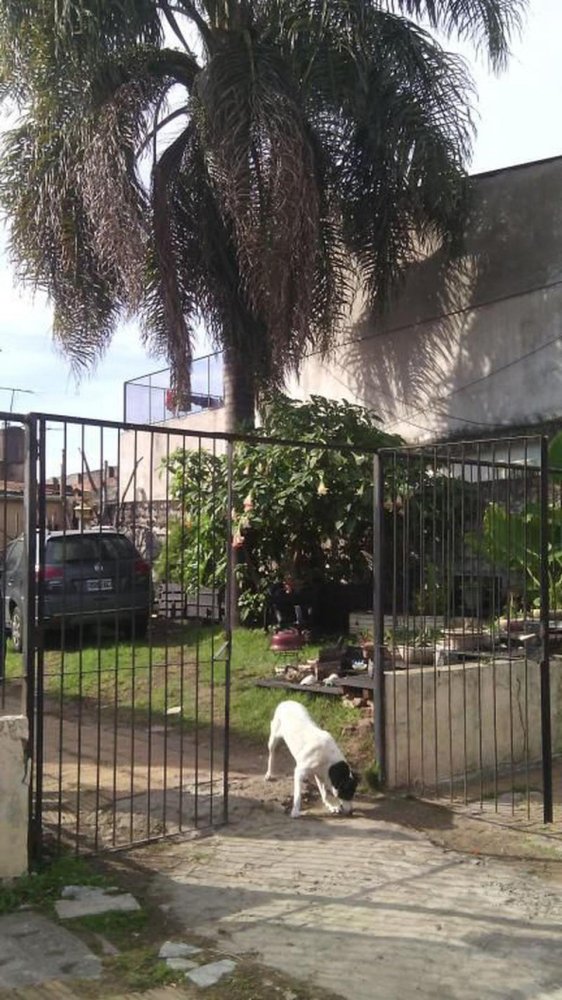 2 bedrooms House in General San Martin, Argentina No. 20655