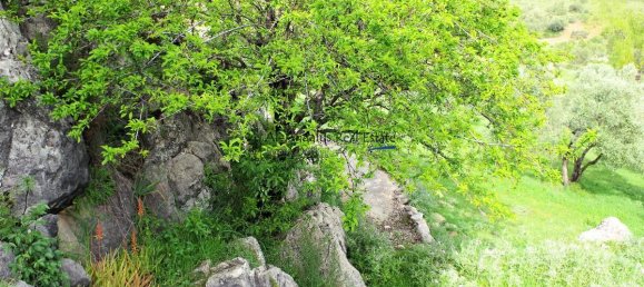 4 bedrooms House in Alcaucin, Spain No. 45138 22