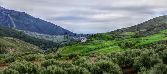 4 bedrooms House in Alcaucin, Spain No. 45138 21