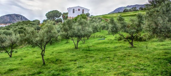 4 bedrooms House in Alcaucin, Spain No. 45138 5