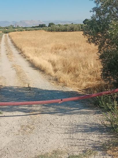 Grundstück in Alhendin, Spain 2000m², Nr. 187271