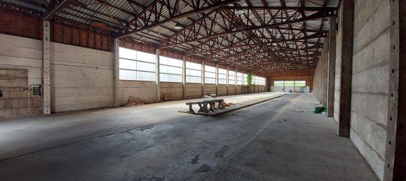  Land in Stralsund, Germany No. 221739 4