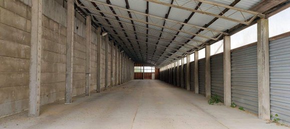  Land in Stralsund, Germany No. 221739 5