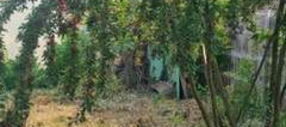 Дом с 3 спальнями в Ludwigsburg, Германия № 15017 36