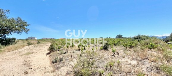 25250m² Commercial property in Tresserre, France No. 97720 4