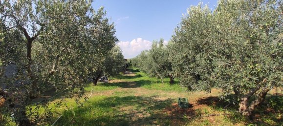 3 bedrooms Commercial property in Chalkidiki, Greece No. 4114 26