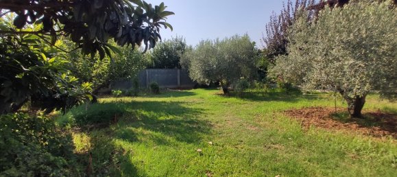 3 bedrooms Commercial property in Chalkidiki, Greece No. 4114 15