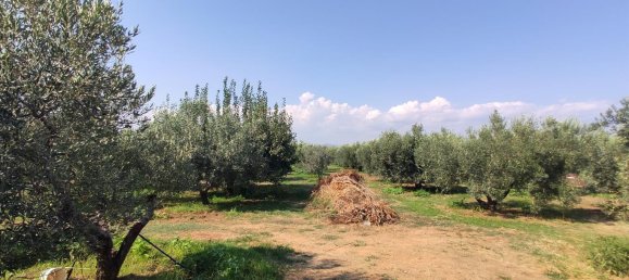 3 bedrooms Commercial property in Chalkidiki, Greece No. 4114 13