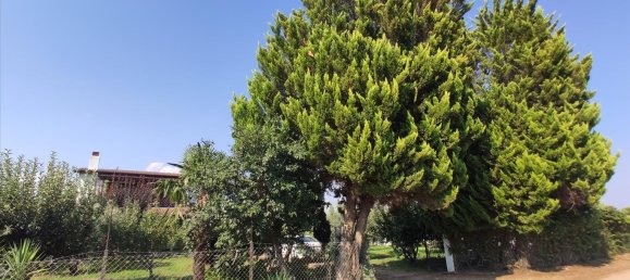 3 bedrooms Commercial property in Chalkidiki, Greece No. 4114 17