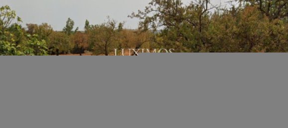 Grundstück in Faro, Portugal 8250m², Nr. 68313 5