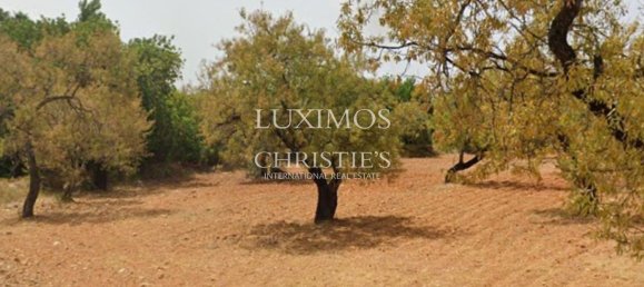 Grundstück in Faro, Portugal 8250m², Nr. 68313 6