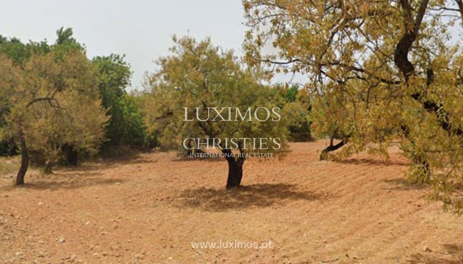 Grundstück in Faro, Portugal 8250m², Nr. 68313