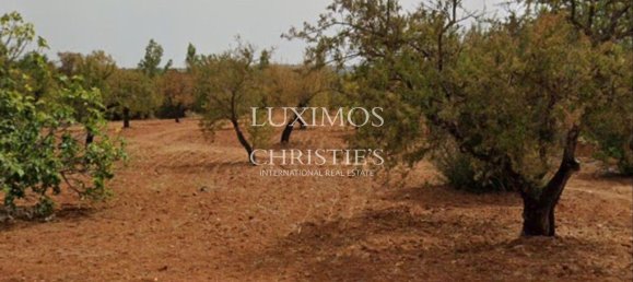 Grundstück in Faro, Portugal 8250m², Nr. 68313 7