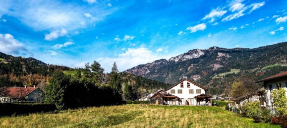  Land in Kotschach-Mauthen, Austria No. 167638 4