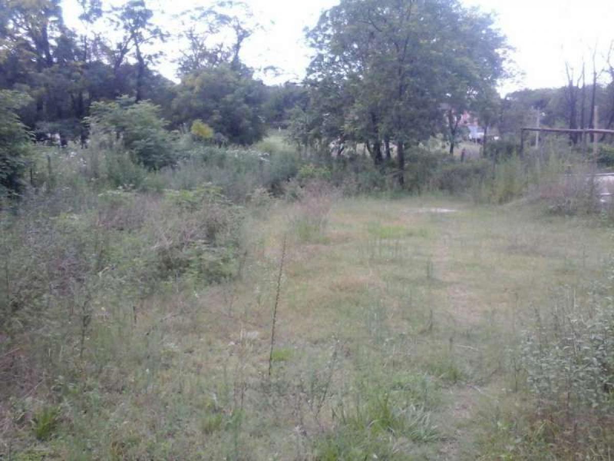  Land in Cordoba, Argentina No. 50889