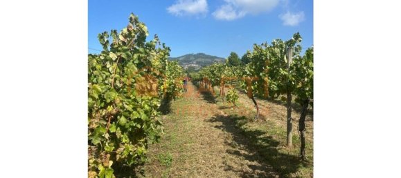 5 Schlafzimmer Haus in Lousada, Portugal, Nr. 128575 15