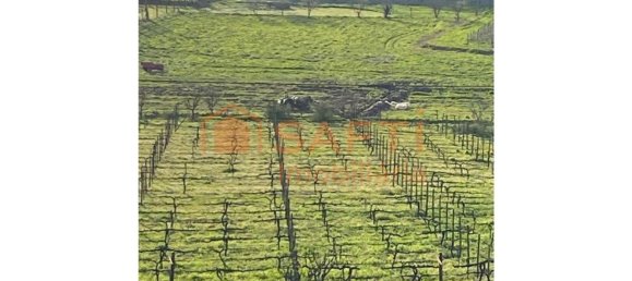 5 Schlafzimmer Haus in Lousada, Portugal, Nr. 128575 26