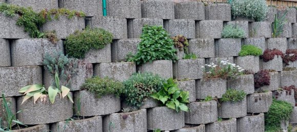 Terreno em Plauen, Germany N.º 225279 2