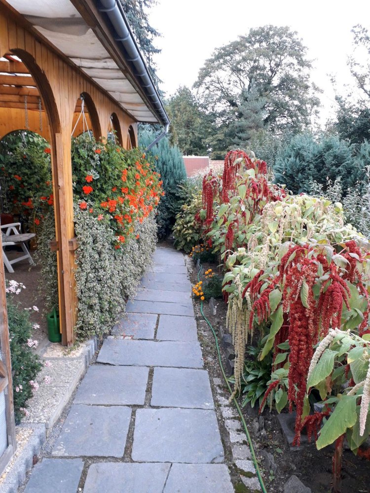 Terreno em Plauen, Germany N.º 225279