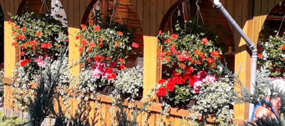 Terreno em Plauen, Germany N.º 225279 4