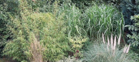 Terreno em Plauen, Germany N.º 225279 12