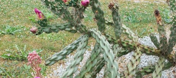 Terreno em Plauen, Germany N.º 225279 11