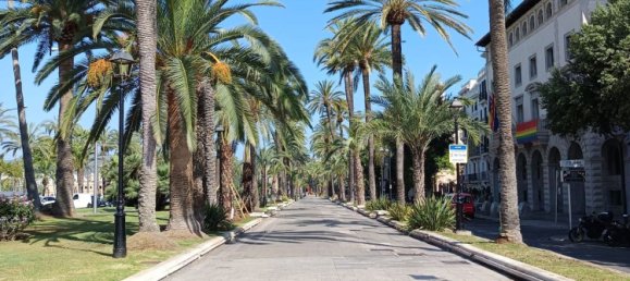 Apartamento de 1 dormitorio en Palma de Mallorca, Spain No. 154753 4