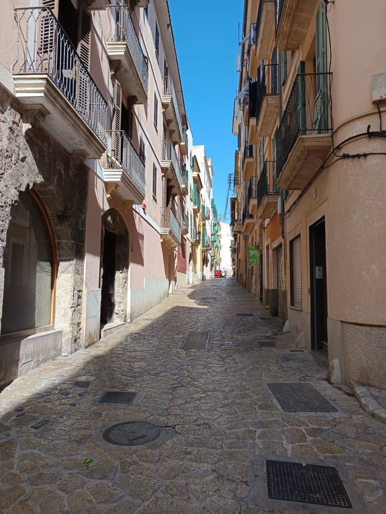 Apartamento de 1 dormitorio en Palma de Mallorca, Spain No. 154753