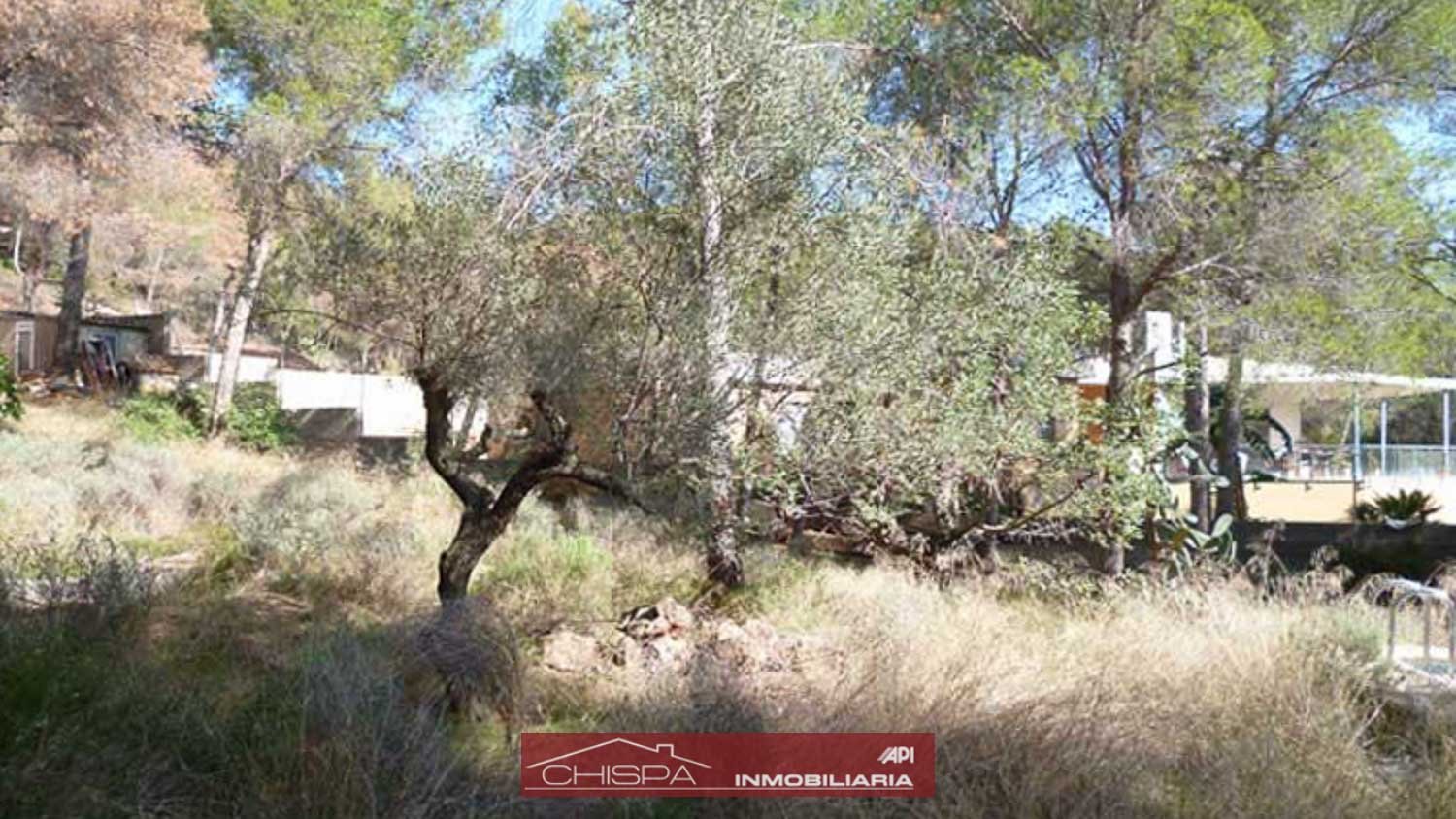  Land in Naquera, Spain No. 89649