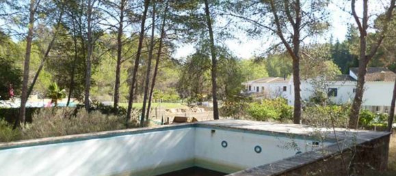 Land in Naquera, Spain No. 89649 3