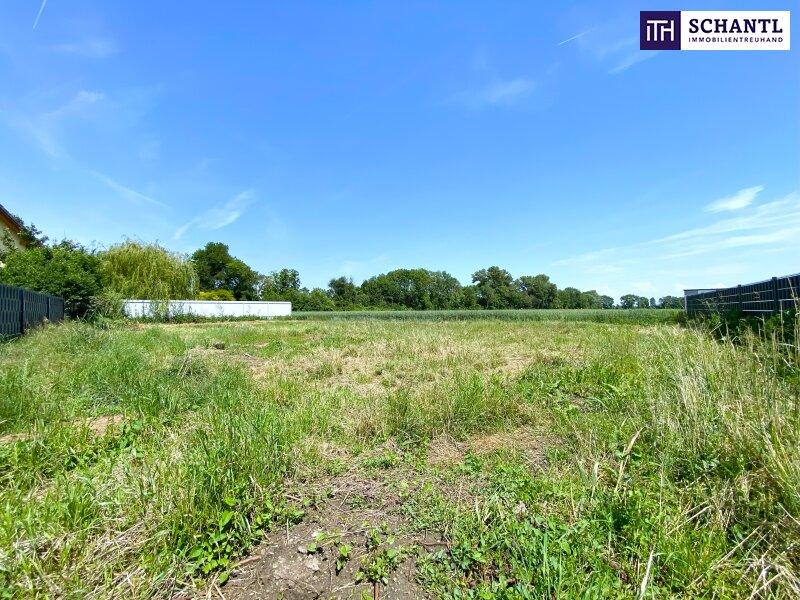 Земельный участок в Миттерндорф ан дер Фиша, Австрия № 255195