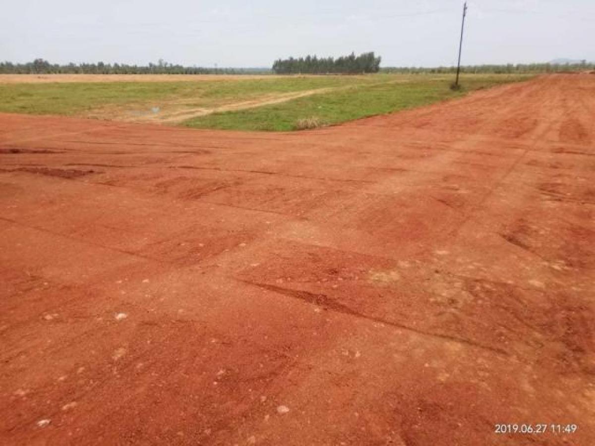  Land in Visakhapatnam, India No. 41211