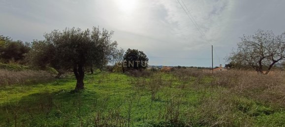 5 Schlafzimmer Haus in Loule, Portugal, Nr. 204569 23