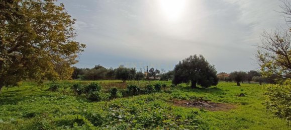 5 Schlafzimmer Haus in Loule, Portugal, Nr. 204569 24